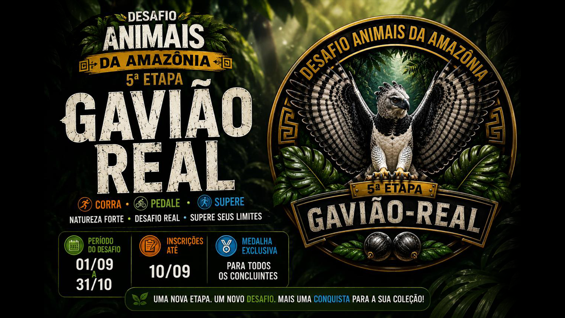 DESAFIO VIRTUAL 'ANIMAIS DA AMAZÔNIA' - ETAPA GAVIÃO REAL: como foi a prova em Ji-Paraná (RO)